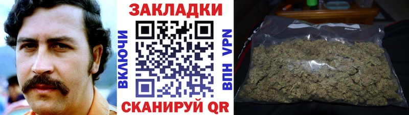 Названия наркотиков Приозерск A-PVP  NBOMe  МЕТАДОН  МЕФ  Марихуана  АМФ 