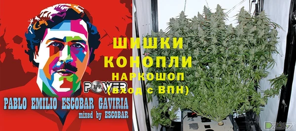 ECSTASY Аркадак